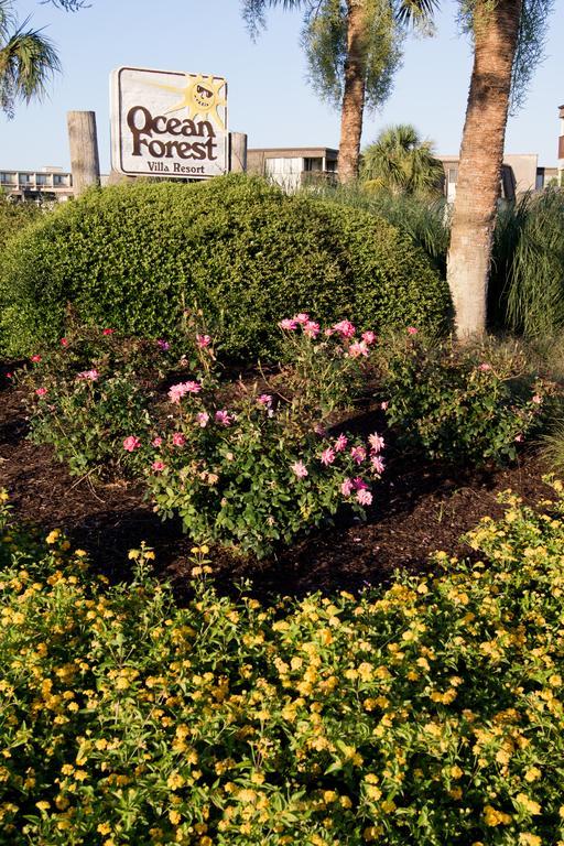 Ocean Forest Villas Myrtle Beach Exterior photo